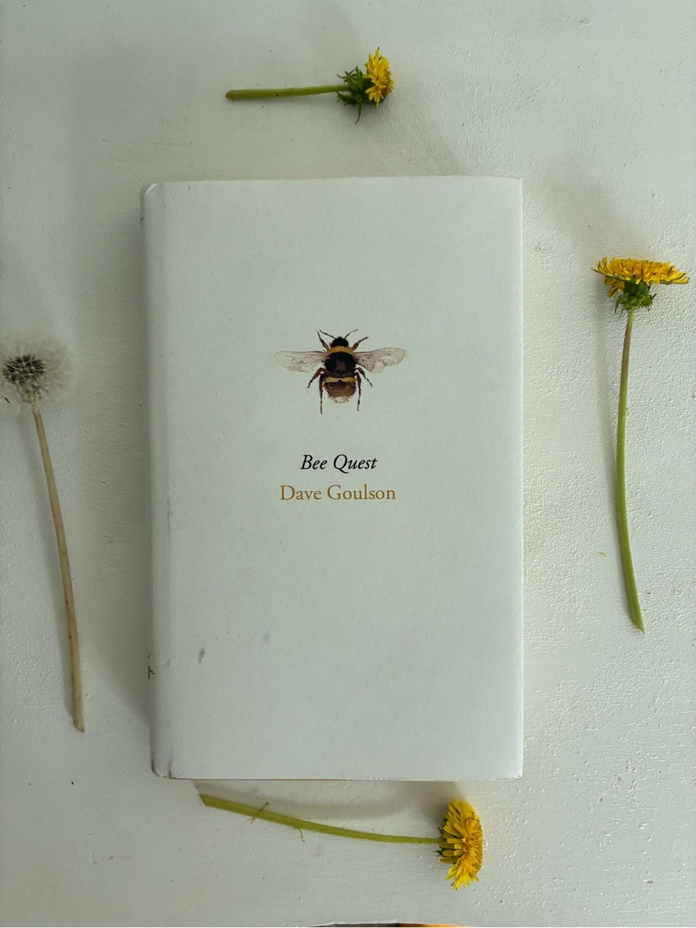 Bee Quest by Dave Goulson - White Hardcover with Bee Illustration